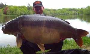 Big carp, Ribiere carp fishing, Holiday fishing France, Big carp fishing France.